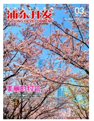 浦东开发
