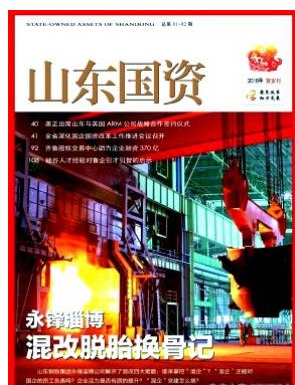 山东国资