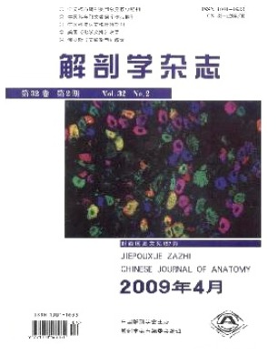 解剖学