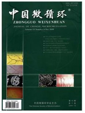中国微循环