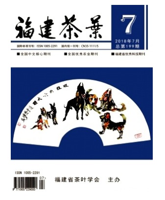 福建茶叶