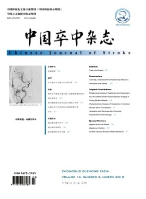 中国卒中