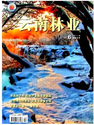 云南林业