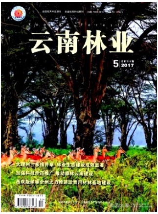 云南林业