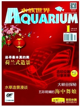水族世界