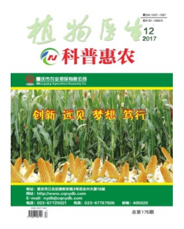 植物医生