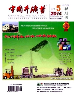 中国井矿盐