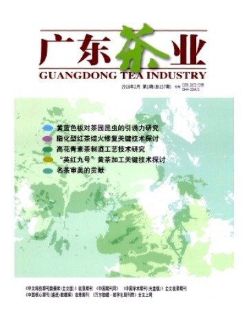 广东茶业