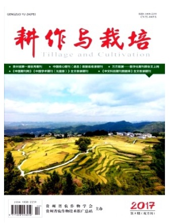 耕作与栽培