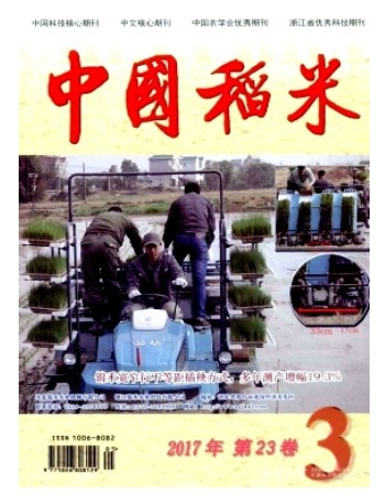 中国稻米