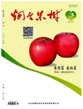 烟台果树