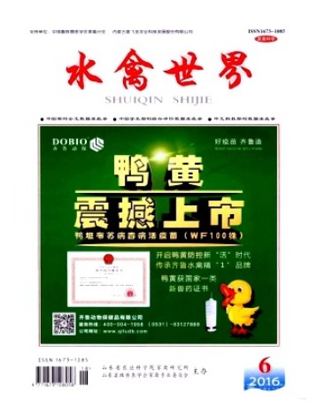 水禽世界