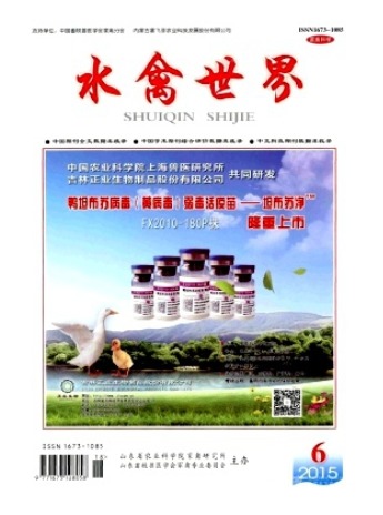 水禽世界
