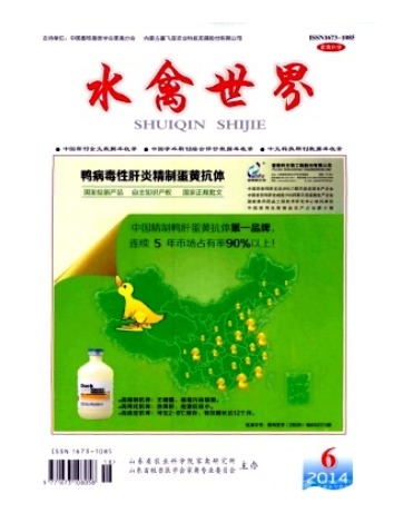 水禽世界