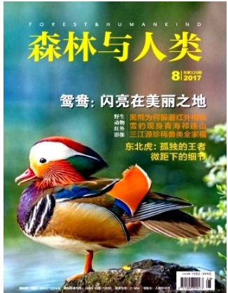 森林与人类