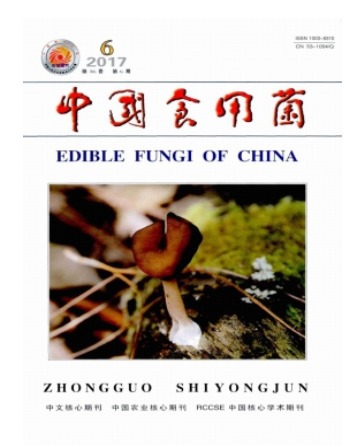 中国食用菌