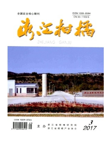 浙江柑橘