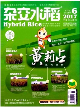 杂交水稻