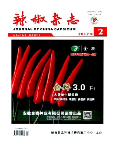 辣椒