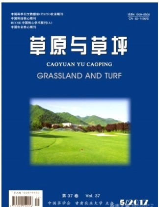 草原与草坪