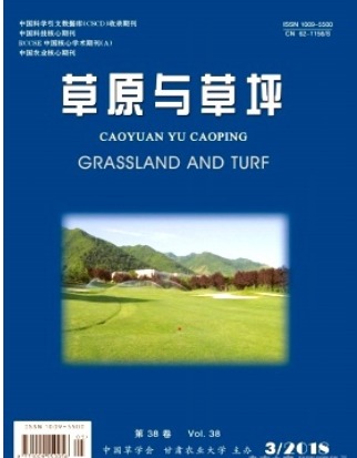 草原与草坪