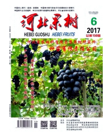 河北果树