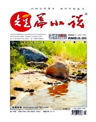 短篇小说