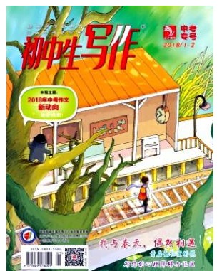 初中生写作