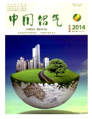 中国沼气