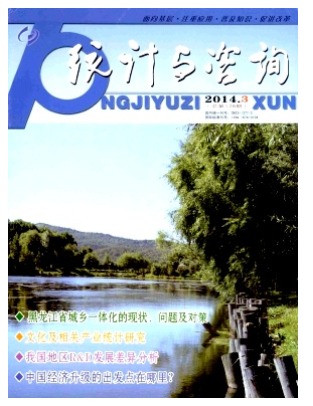 统计与咨询