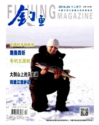 钓鱼