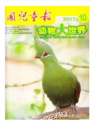 动物大世界