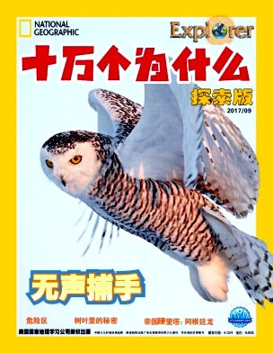 十万个为什么